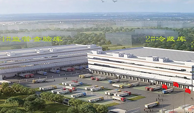 金諾冷鏈，見證大森速度